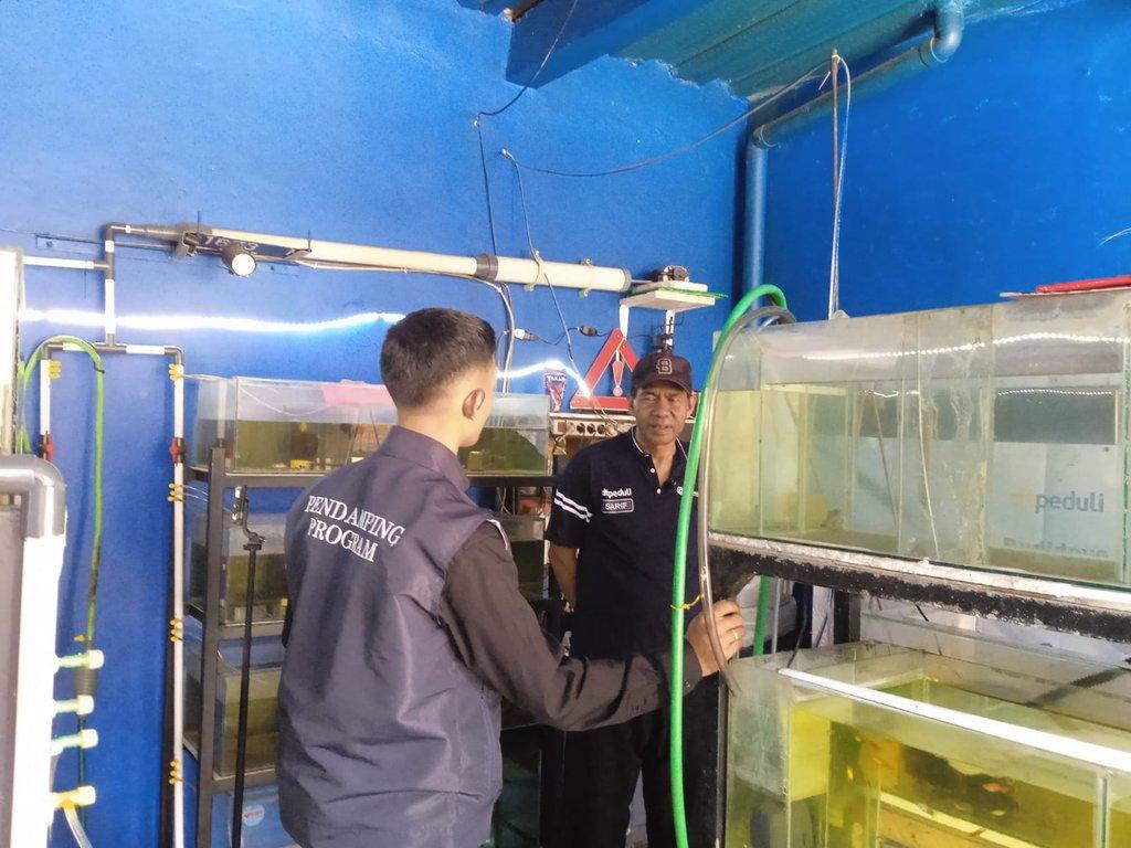Menjaga Ikan, Menjaga Harapan: Monitoring Program Peduli Peternak Sejahtera Budidaya Ikan Hias - Cover Image